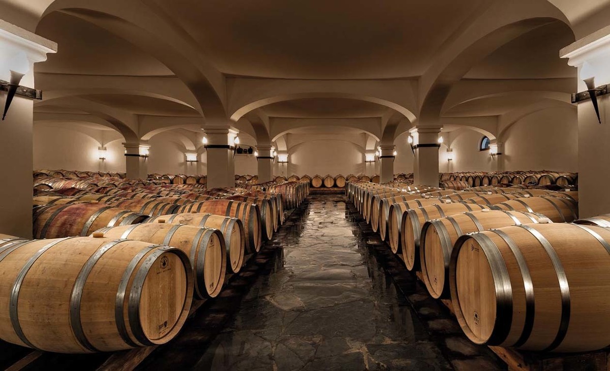 alentejo, vinhas, vinho, portugal, enologia, paisagem, joao portugal ramos, estremoz, rota dos vinhos, castas, enólogo, adega, pipa, wine, winery