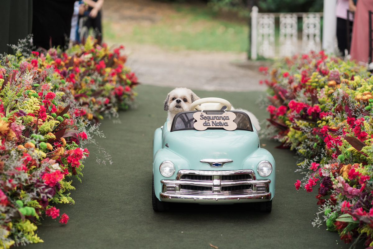 cachorro-entrada-aliancas-carro-casamento.jpg
