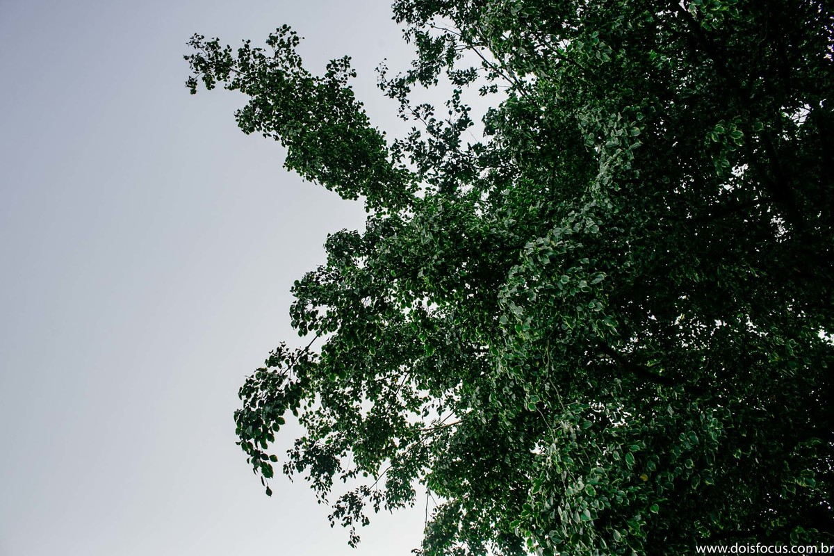 Fotografia  RJ -  Fotógrafo de Casamento - Casamento Juliana e Gabriel - Dois Focus Fotografia de Casamento.