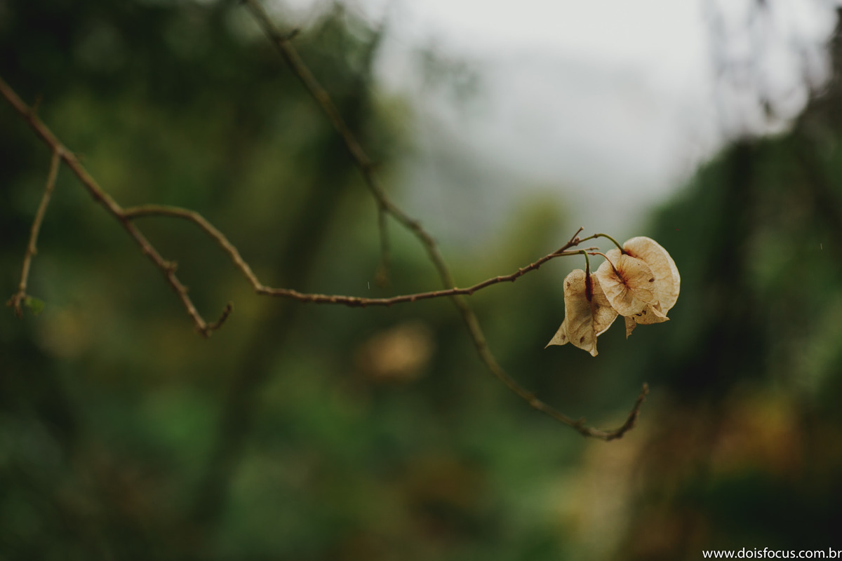 #mansaorosa #noivascariocas #casamento #noivasdobrasil #noivasp #noivario #fotografodecasamento #fotosdecasamento #noivas2020 #noivas2019 #casamentorj #noivasrio #vestidodecasamento #riodejaneiro #lapisdenoiva #vestidodenoiva #penteadosparanoivas 