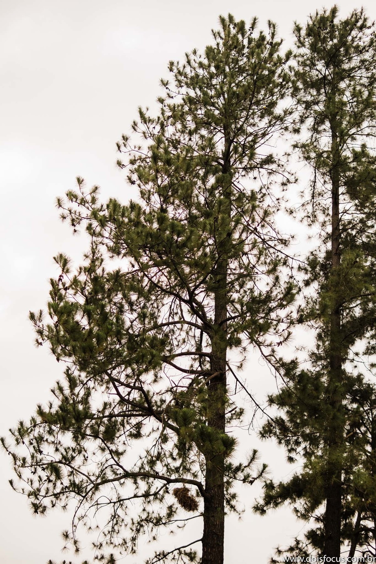 Pré wedding  - Praia do Sahi - Fotografia de Casamento - Fotos românticas