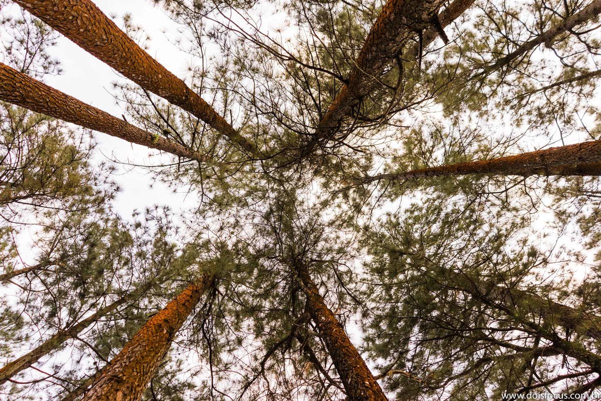 Pré wedding  - Praia do Sahi - Fotografia de Casamento - Fotos românticas