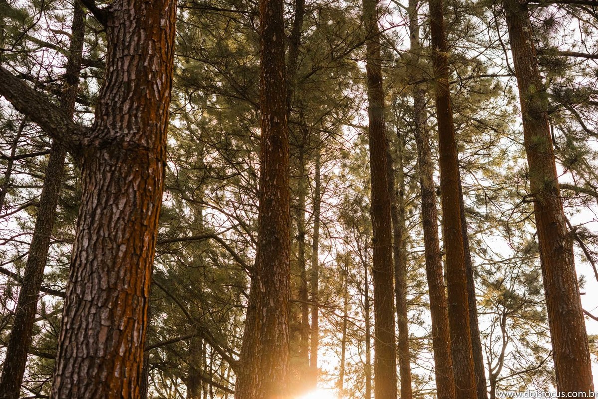 Pré wedding  - Praia do Sahi - Fotografia de Casamento - Fotos românticas