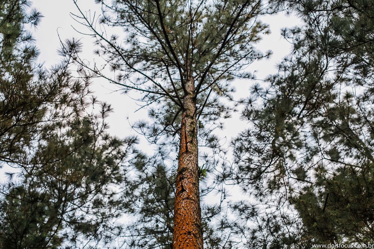 Pré wedding  - Praia do Sahi - Fotografia de Casamento - Fotos românticas