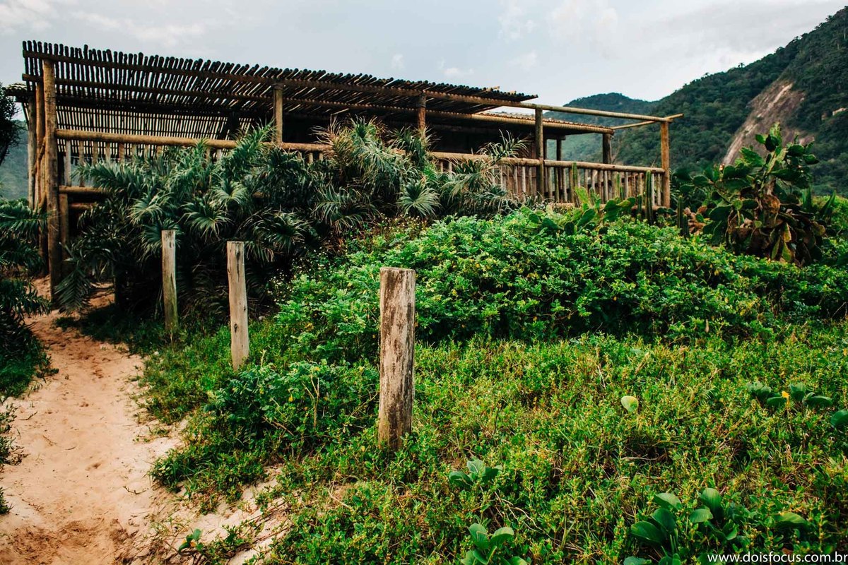 pré wedding  - ensaio casal - fotografia de casamento - fotógrafo de casamento  - dois focus