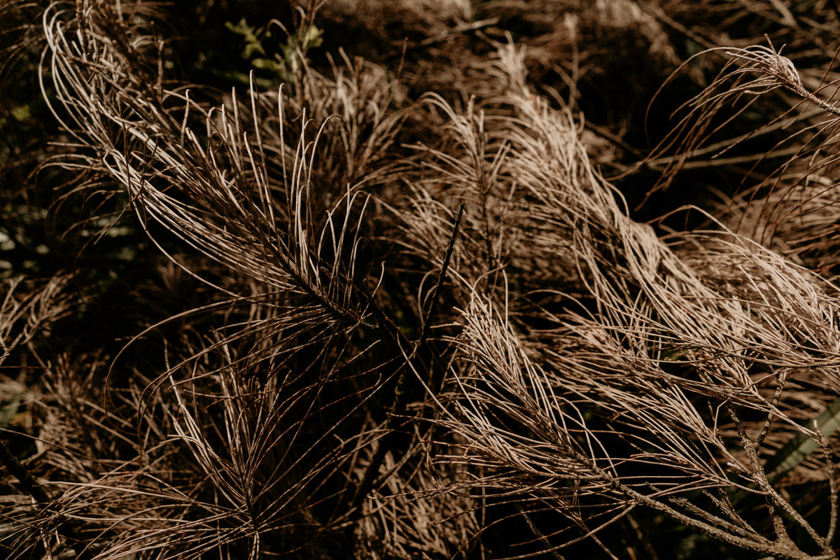 #casamentos #voucasarem2022 #casamentorj  #wedding #casorio #noivas #noivasrj #noivado #noivos2022 #noivasdobrasil #voucasar #clubedasnoivas #Inesquecivelcasamento #vestidodecasamento
#voucasar #prewedding #fotografodecasamento #noiva2022 #doisfocus