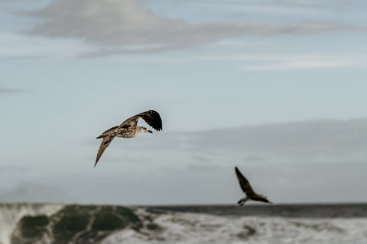 #casamentos #voucasarem2022 #casamentorj  #wedding #casorio #noivas #noivasrj #noivado #noivos2022 #noivasdobrasil #voucasar #clubedasnoivas #Inesquecivelcasamento #vestidodecasamento
#voucasar #prewedding #fotografodecasamento #noiva2022 #doisfocus