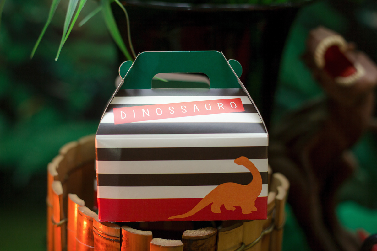 Aniversário, festa, um ano, doces, bexigas, temas, bagunça, criança,