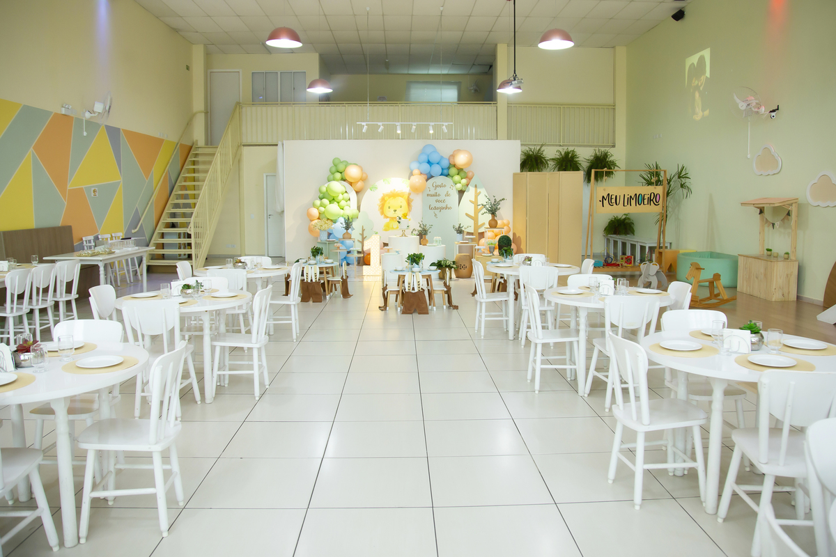 Aniversário, festa, um ano, doces, bexigas, temas, bagunça, criança, 