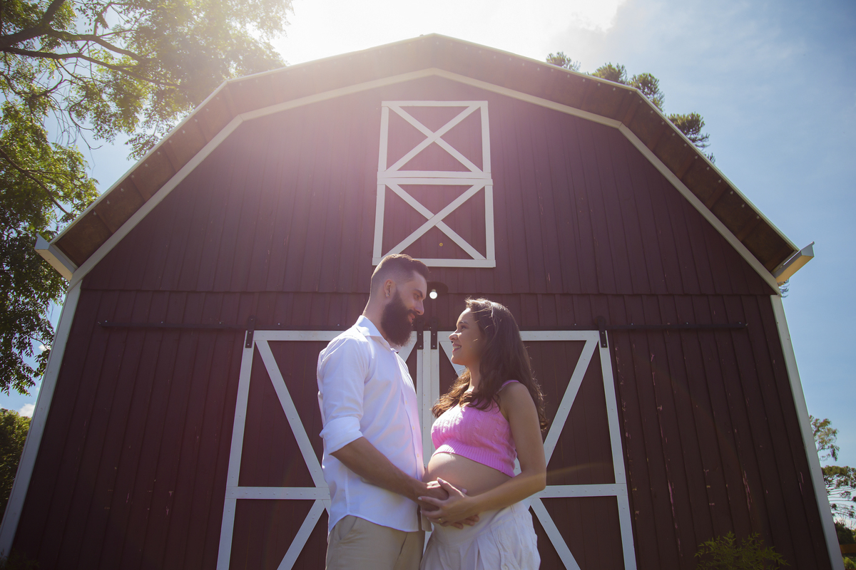 Gestação, família, acompanhamento, praia, cidade, campo.
