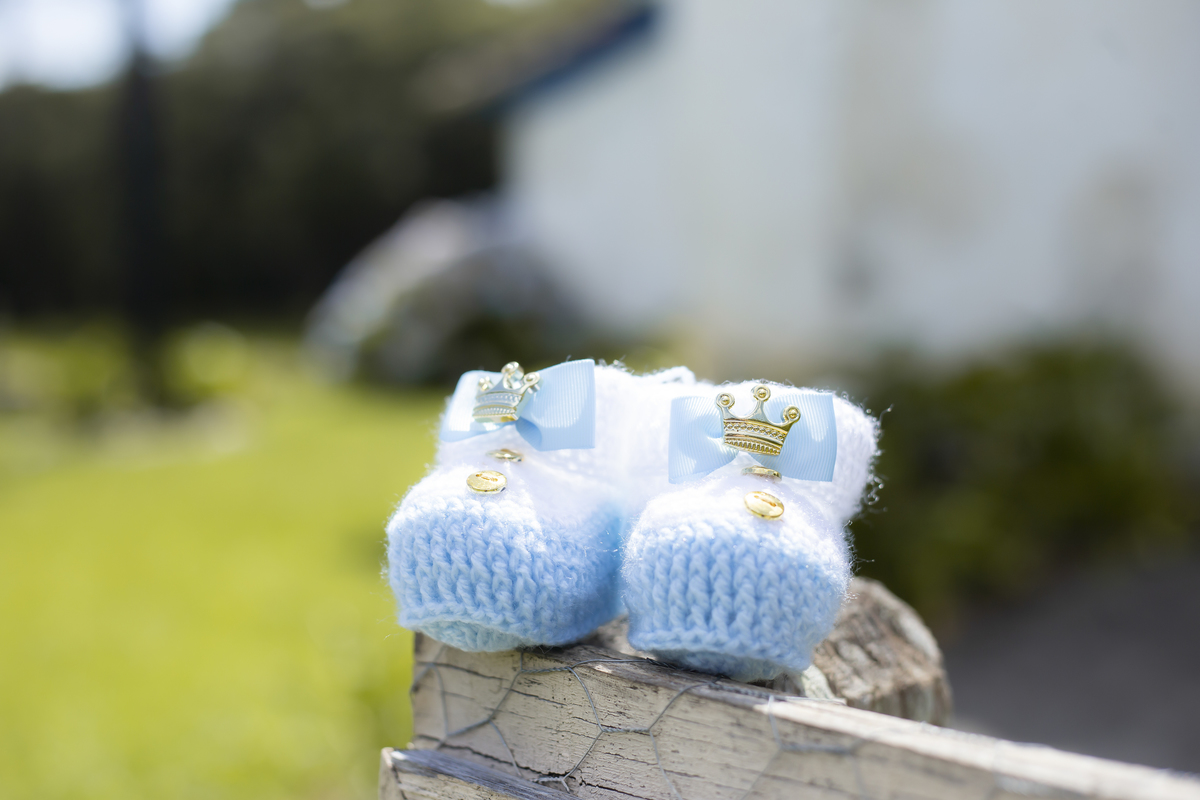 Gestação, família, acompanhamento, praia, cidade, campo.