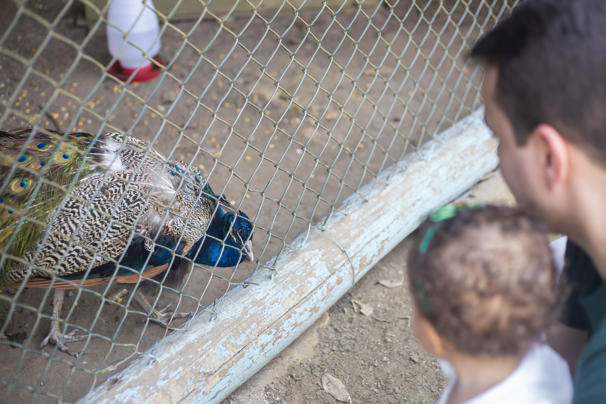 Família, criança, infantil, bagunça, smash the cake, smash the water, alegria. 