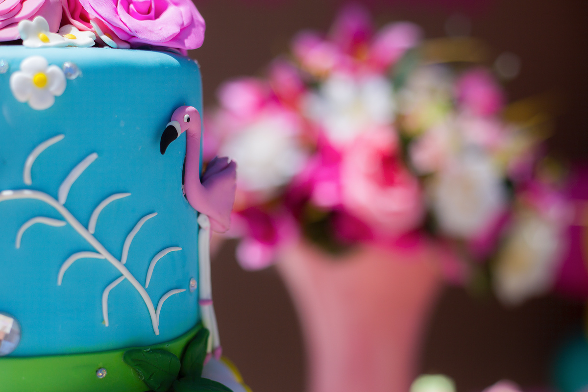 Aniversário, festa, um ano, doces, bexigas, temas, bagunça, criança, brinquedos, buffet infantil. 