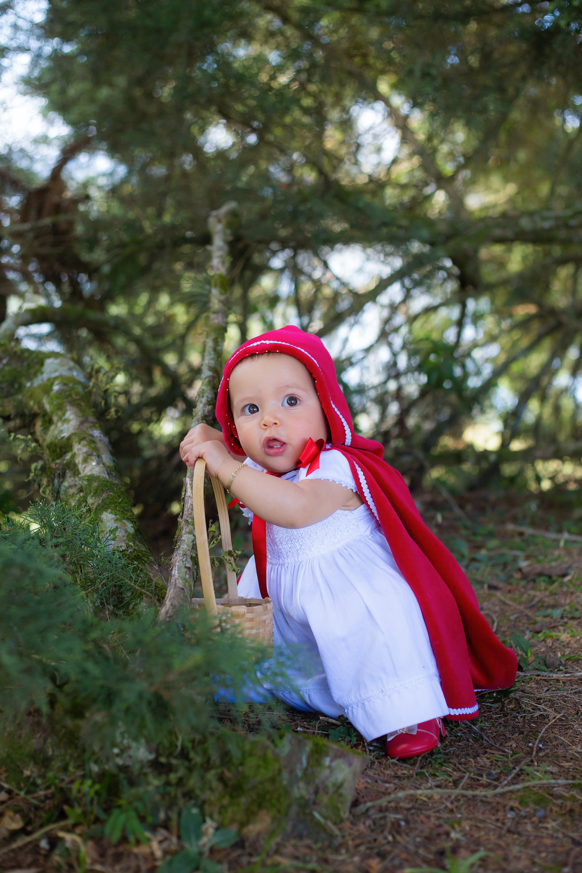 Família, criança, infantil, bagunça, smash the cake, smash the water, alegria.
