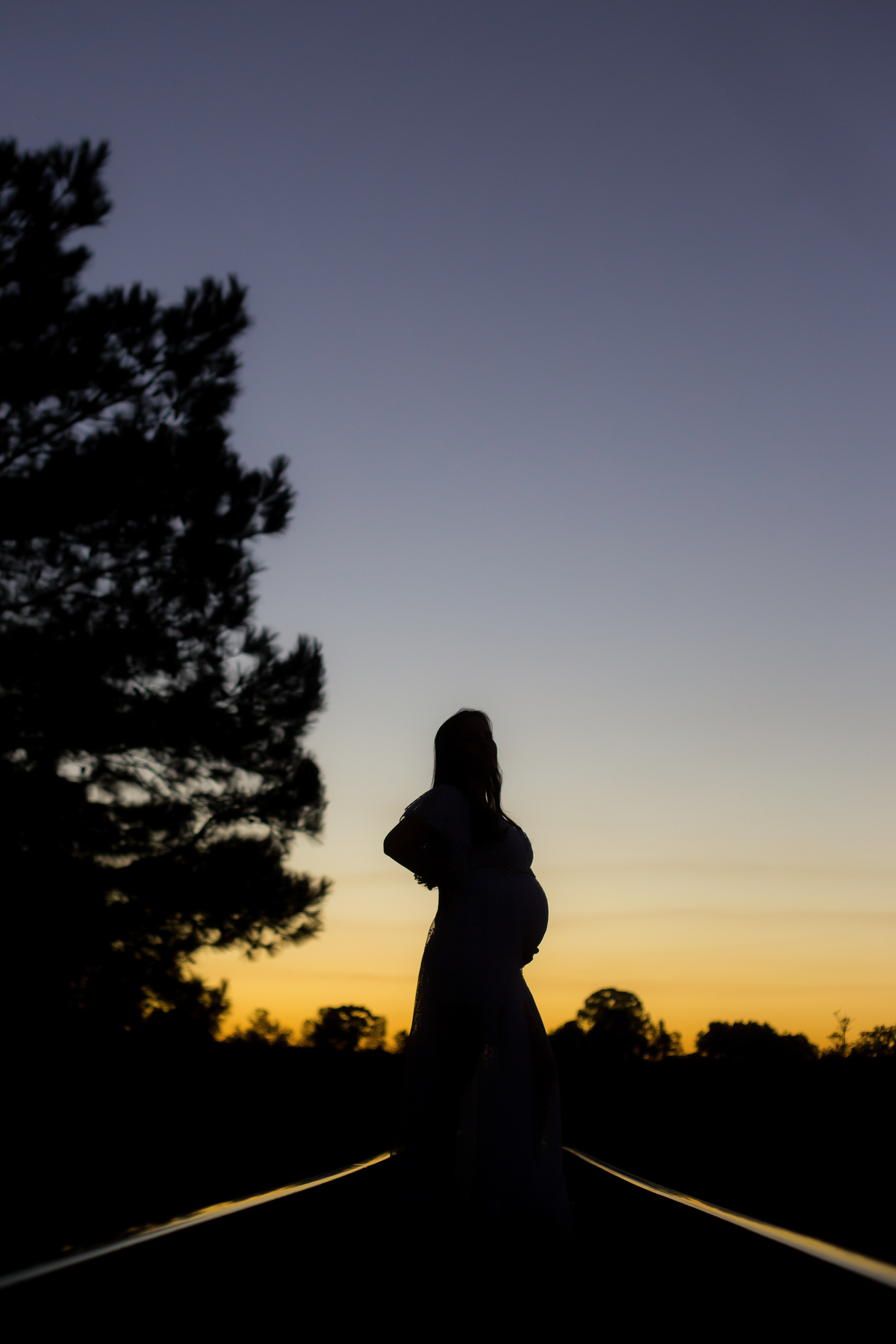 Gestação, família, acompanhamento, praia, cidade, campo.