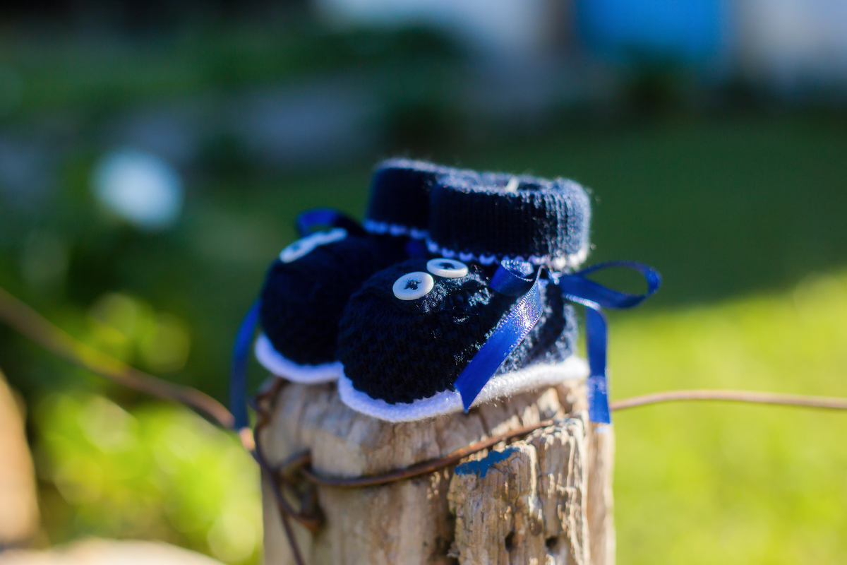 Gestação, família, acompanhamento, praia, cidade, campo.