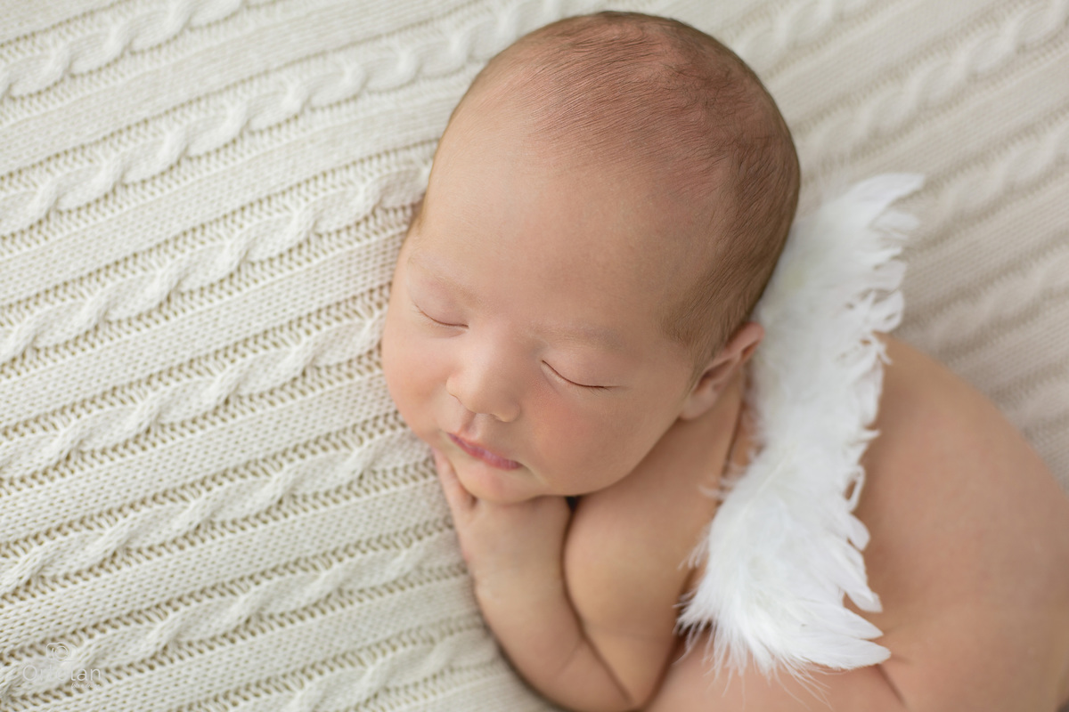 ESTUDIO ORTOLAN - ENSAIO NEWBORN