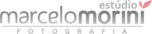 Logotipo de Marcelo Henrique Morini