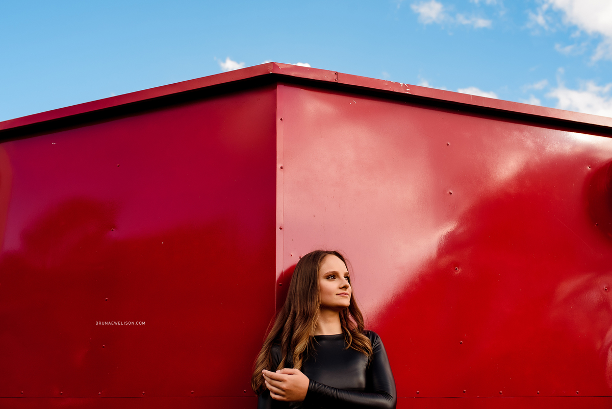 ensaio 15 anos fotografia bruna e welison nao me toque lagoa dos tres cantos tapera book fotografo