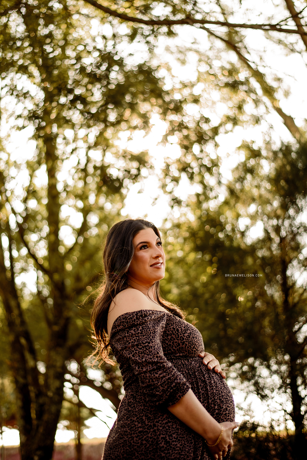 ensaio gestante fotografia bruna e welison nao me toque gravida foto