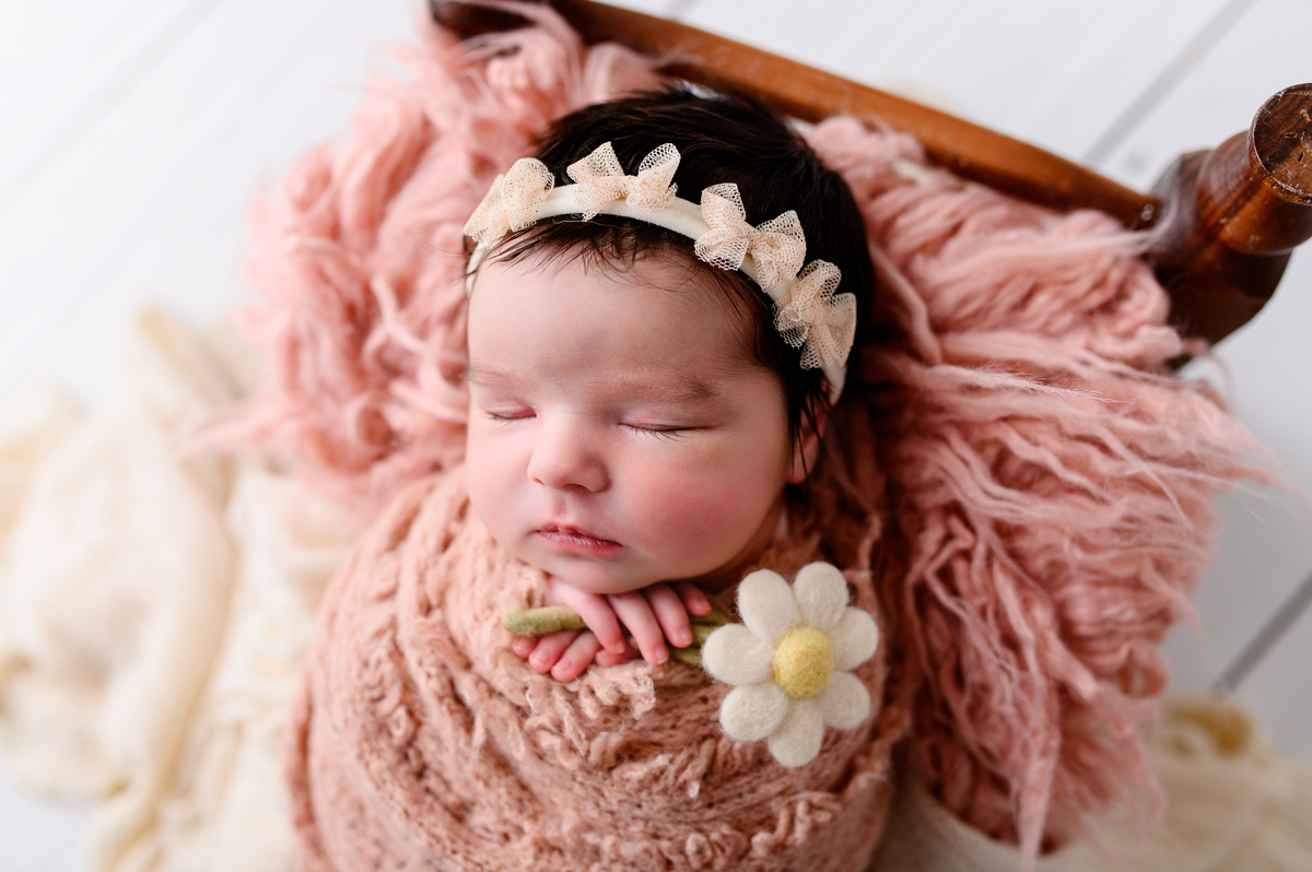 ensaio newborn nao me toque carazinho passo fundo fotografia