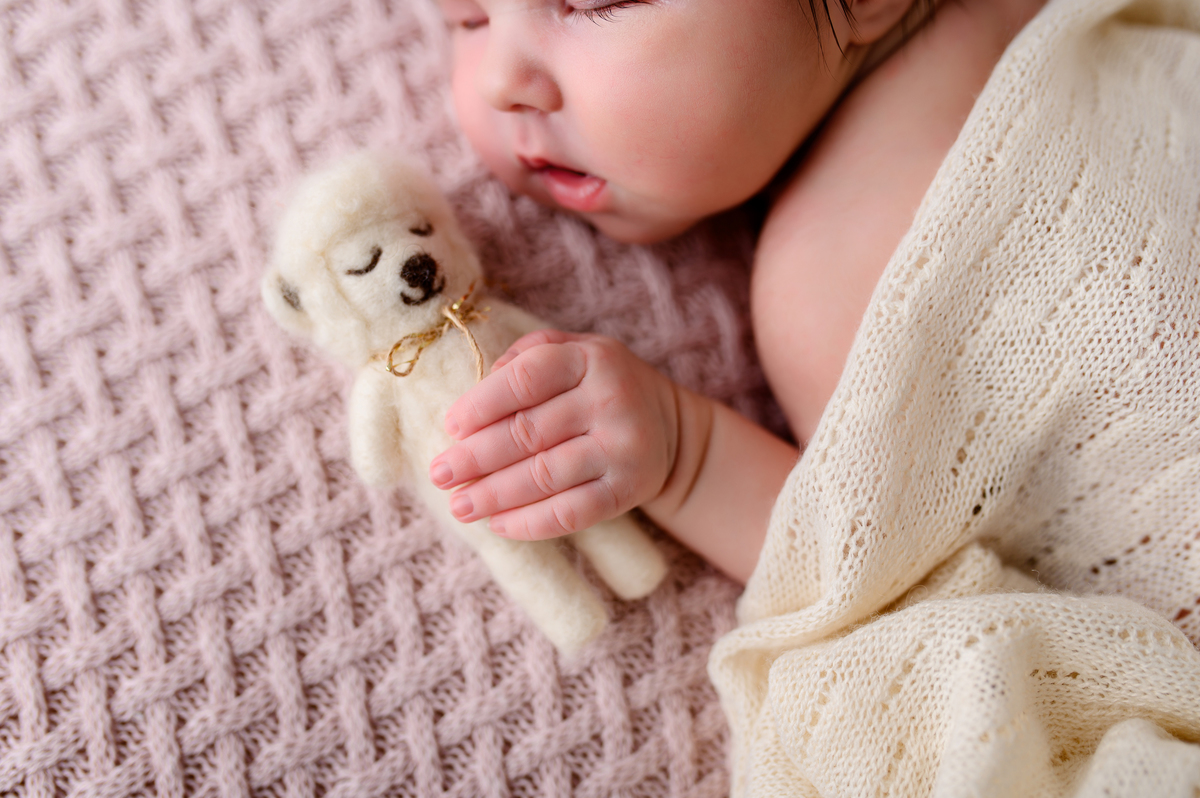 ensaio newborn nao me toque carazinho passo fundo fotografia