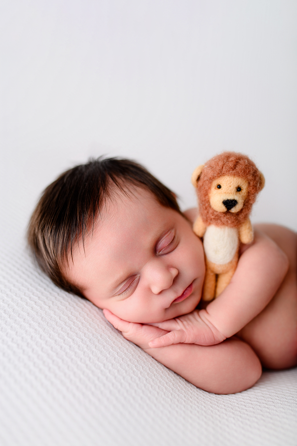 ensaio newborn fotografia bruna e welison nao me toque tapera bebe