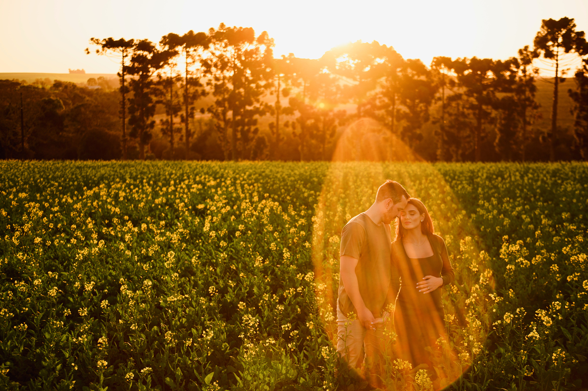 ensaio gestante gravida foto externo canola tapera