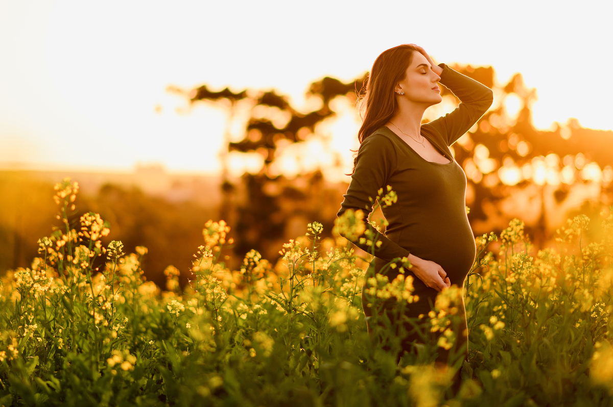 ensaio gestante gravida foto externo canola tapera