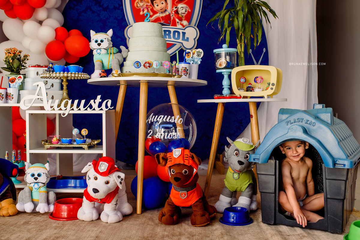 fotografia infantil aniversario evento nao me toque tapera fotografo bruna e welison