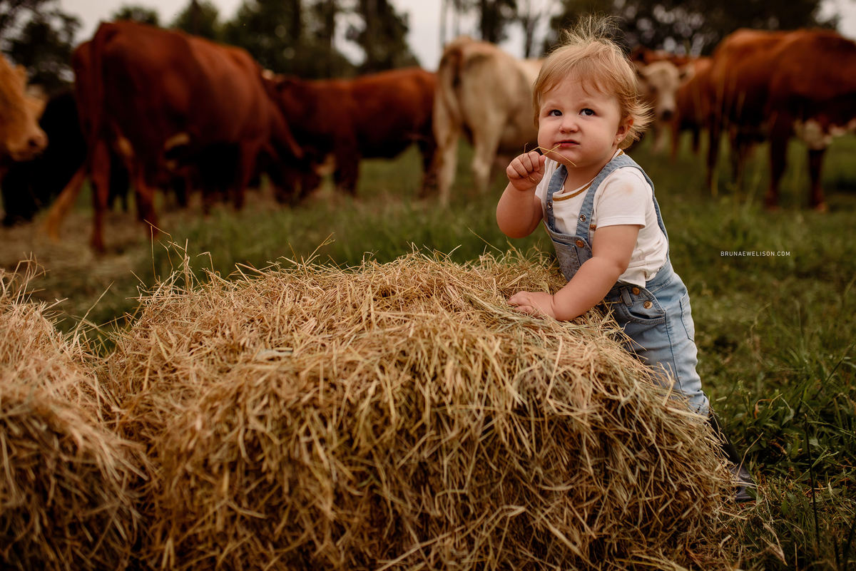 infantil-fotografia-bruna-e-welison-ensaio-fotografo-tapera-nao-me-toque-rs-book-externo