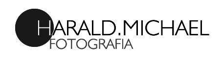 Logotipo de H.Michael 