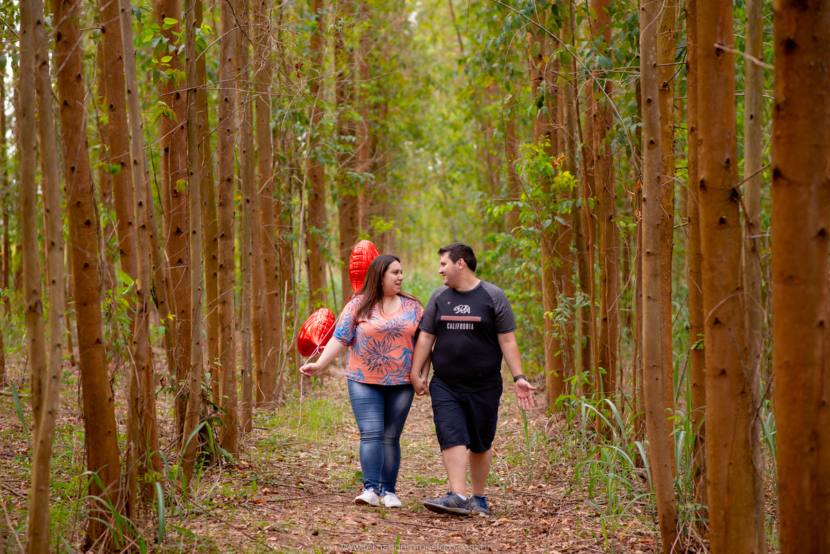 ENSAIO PRÉ-CASAMENTO, PRÉ-WEDDING, HOLAMBRA, CIDADE DAS FLORES, PLANTAÇÃO EUCALIPTO, FOTOGRAFIA DE CASAMENTO, NOIVOS, FOTOS ESPONTÂNEAS, FOTOGRAFO DE CASAMENTO SP