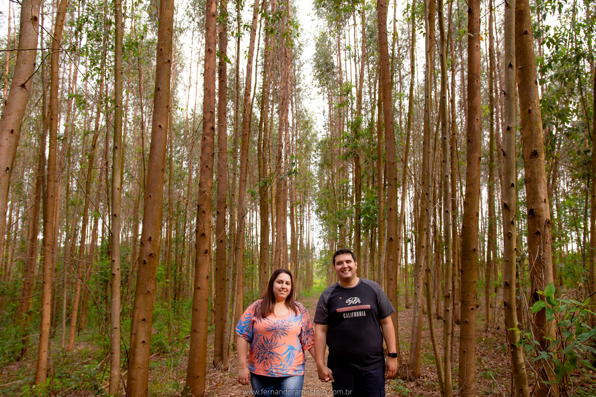 ENSAIO PRÉ-CASAMENTO, PRÉ-WEDDING, HOLAMBRA, CIDADE DAS FLORES, PLANTAÇÃO EUCALIPTO, FOTOGRAFIA DE CASAMENTO, NOIVOS, FOTOS ESPONTÂNEAS, FOTOGRAFO DE CASAMENTO SP
