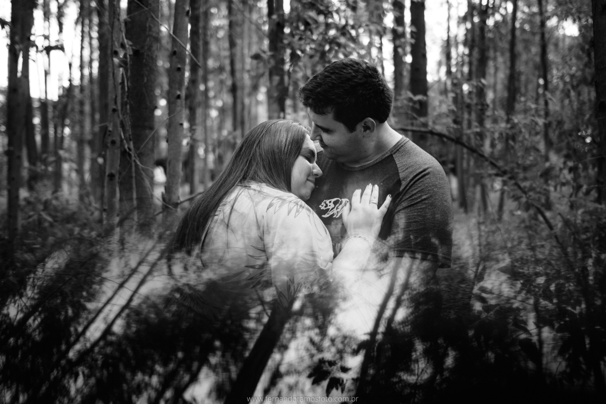 ENSAIO PRÉ-CASAMENTO, PRÉ-WEDDING, HOLAMBRA, CIDADE DAS FLORES, PLANTAÇÃO EUCALIPTO, FOTOGRAFIA DE CASAMENTO, NOIVOS, FOTOS ESPONTÂNEAS, FOTOGRAFO DE CASAMENTO SP