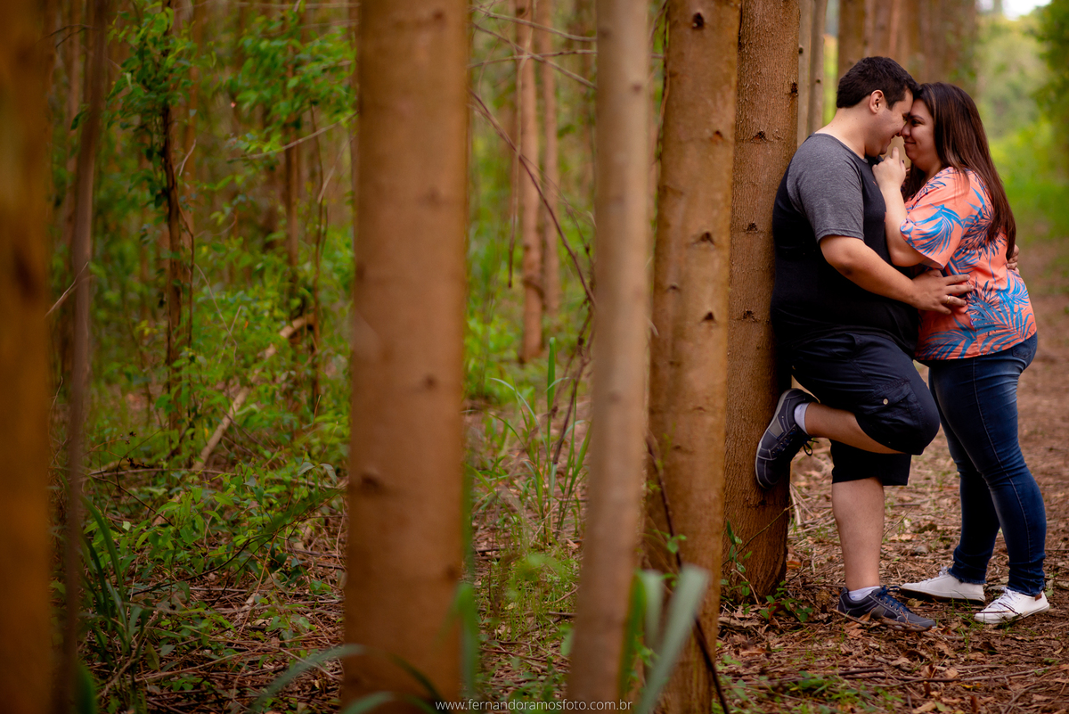 ENSAIO PRÉ-CASAMENTO, PRÉ-WEDDING, HOLAMBRA, CIDADE DAS FLORES, PLANTAÇÃO EUCALIPTO, FOTOGRAFIA DE CASAMENTO, NOIVOS, FOTOS ESPONTÂNEAS, FOTOGRAFO DE CASAMENTO SP
