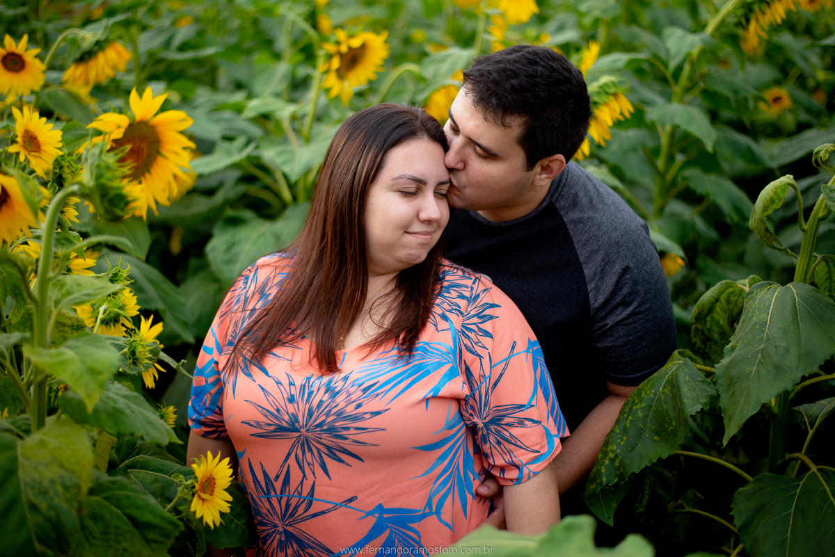 ENSAIO PRÉ-CASAMENTO, PRÉ-WEDDING, HOLAMBRA, CIDADE DAS FLORES, PLANTAÇÃO DE GIRASSOL, FOTOGRAFIA DE CASAMENTO, NOIVOS, FOTOS ESPONTÂNEAS, FOTOGRAFO DE CASAMENTO SP