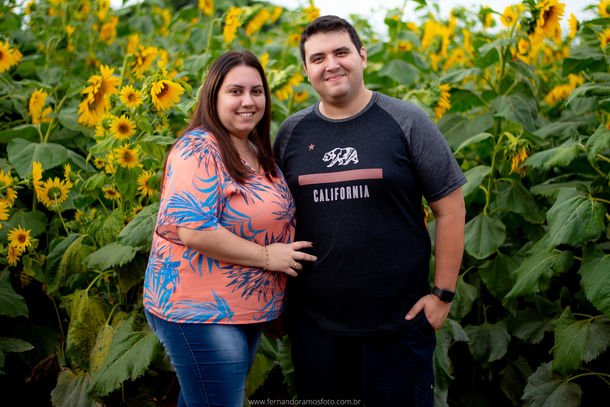 ENSAIO PRÉ-CASAMENTO, PRÉ-WEDDING, HOLAMBRA, CIDADE DAS FLORES, PLANTAÇÃO DE GIRASSOL, FOTOGRAFIA DE CASAMENTO, NOIVOS, FOTOS ESPONTÂNEAS, FOTOGRAFO DE CASAMENTO SP