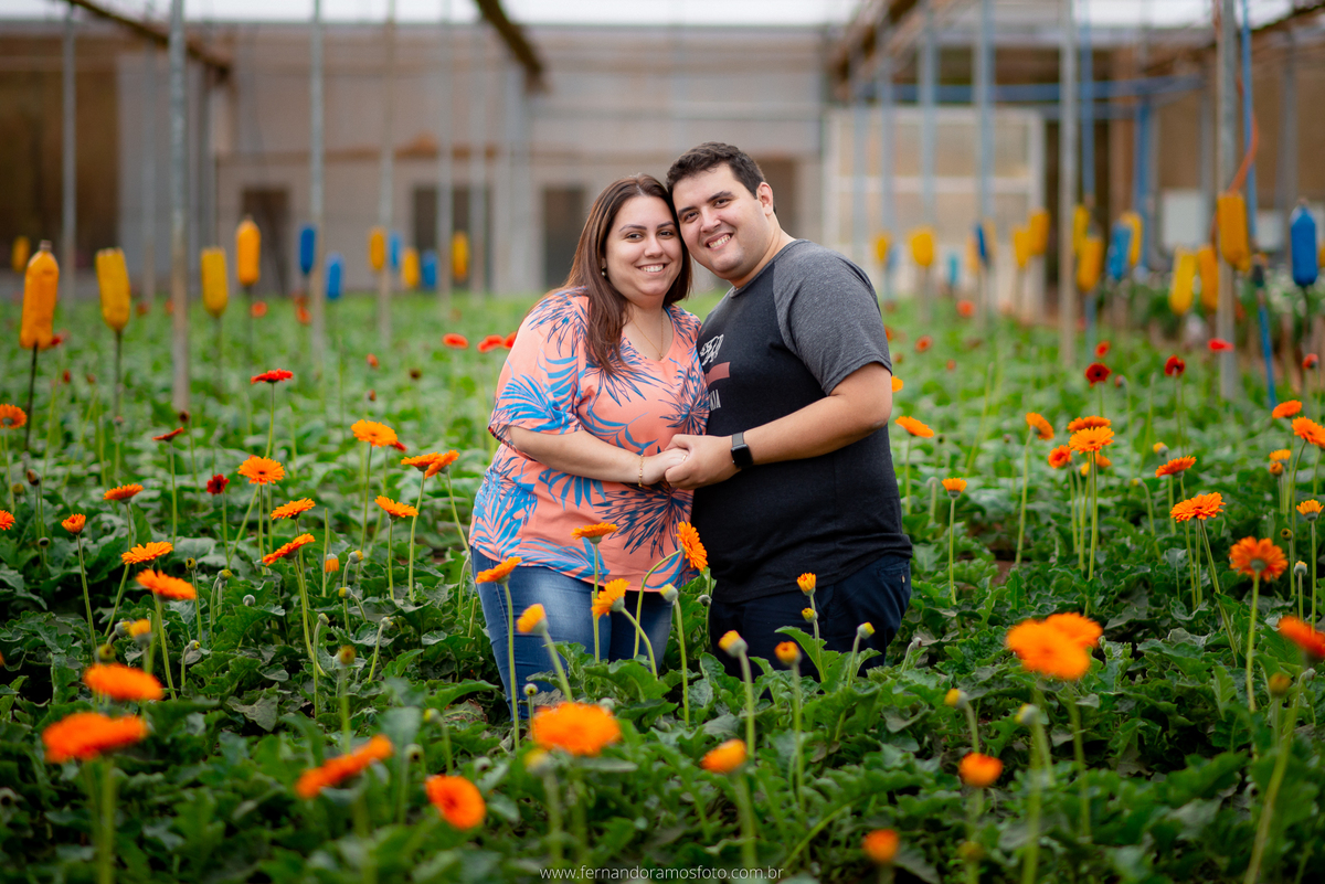 ENSAIO PRÉ-CASAMENTO, PRÉ-WEDDING, HOLAMBRA, CIDADE DAS FLORES, PLANTAÇÃO DE GERBERAS, FOTOGRAFIA DE CASAMENTO, NOIVOS, FOTOS ESPONTÂNEAS, FOTOGRAFO DE CASAMENTO SP