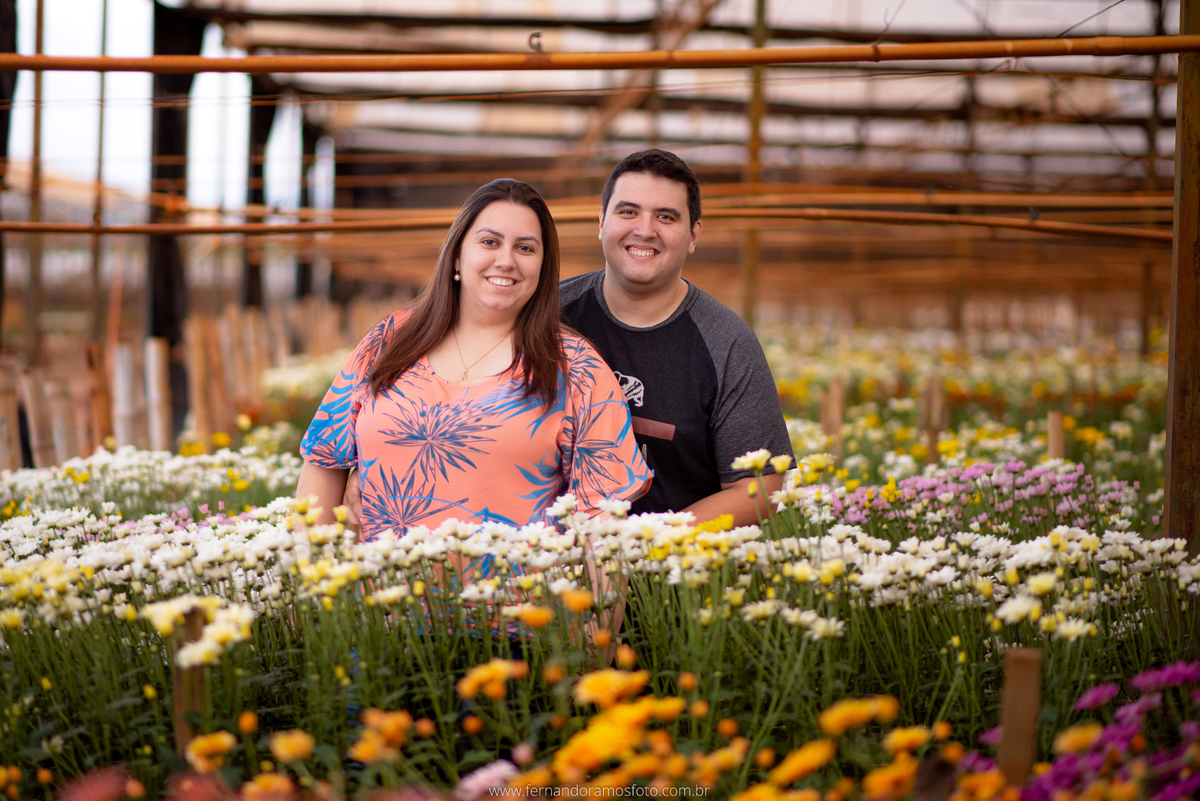 ENSAIO PRÉ-CASAMENTO, PRÉ-WEDDING, HOLAMBRA, CIDADE DAS FLORES, PLANTAÇÃO DE GERBERAS, FOTOGRAFIA DE CASAMENTO, NOIVOS, FOTOS ESPONTÂNEAS, FOTOGRAFO DE CASAMENTO SP