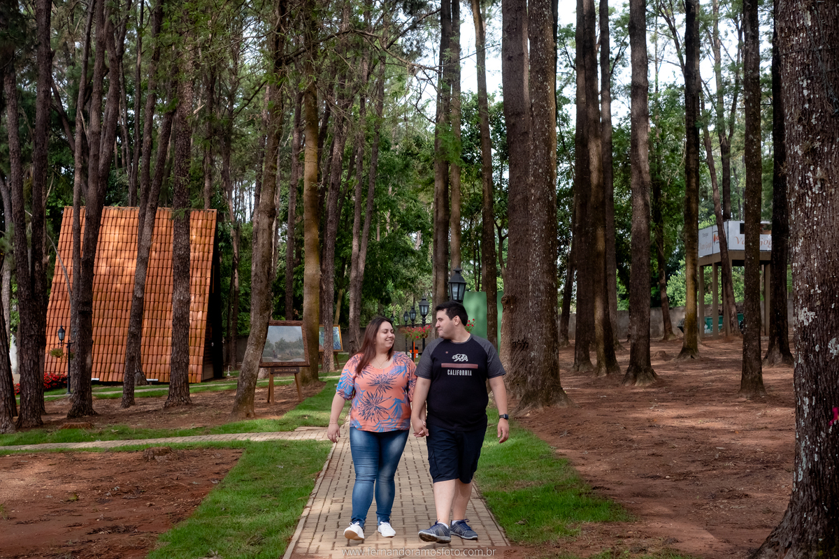 ENSAIO PRÉ-CASAMENTO, PRÉ-WEDDING, HOLAMBRA, CIDADE DAS FLORES, CHALÉ, FOTOGRAFIA DE CASAMENTO, NOIVOS, FOTOS ESPONTÂNEAS, CASAL CAMINHANDO, FOTOGRAFO DE CASAMENTO SP