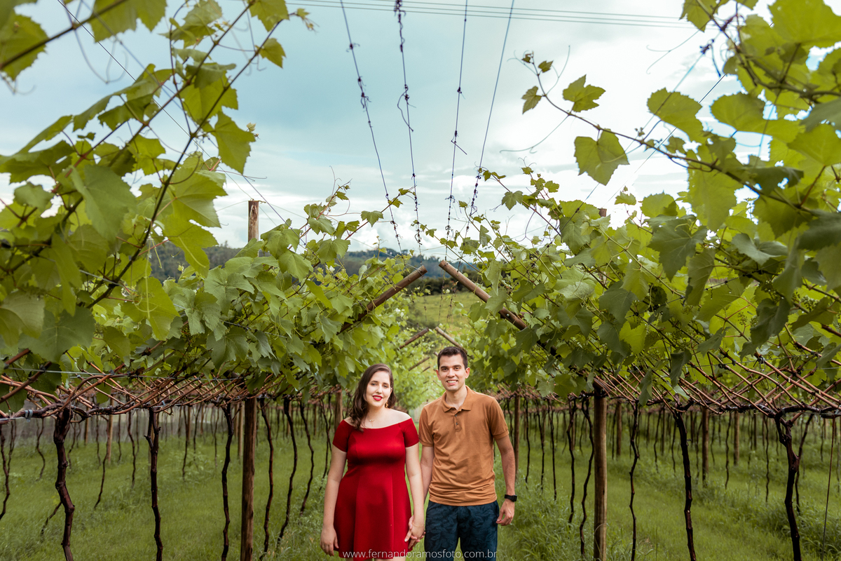 ENSAIO PRÉ-CASAMENTO, PRÉ-WEDDING, VINHOS MICHELETTO, FOTOGRAFIA DE CASAMENTO, ENSAIO AO AR LIVRE, FOTOS DE PRÉ-CASAMENTO, ENSAIO NA VÍNICOLA, ENSAIO PRÉ-CASAMENTO EM LOUVEIRA, LOUVEIRA, SÃO PAULO, PARREIRAS DE UVA