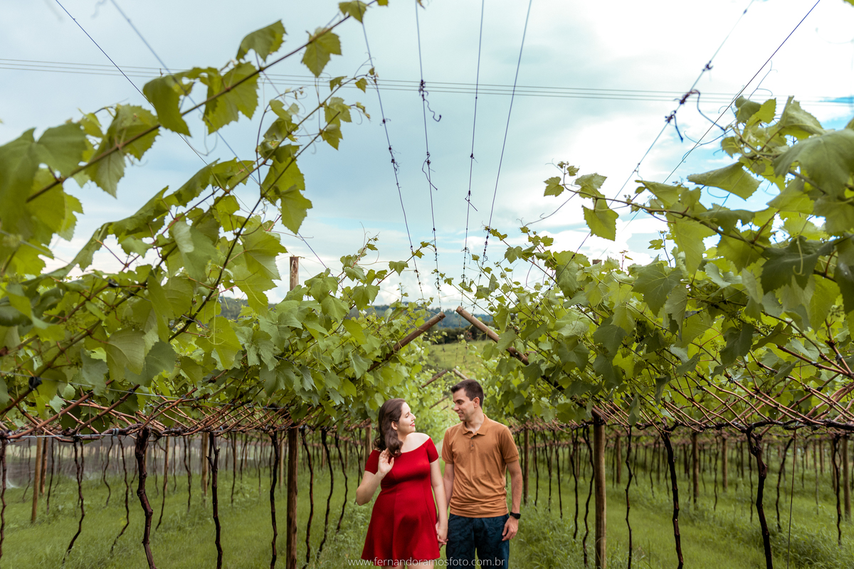 ENSAIO PRÉ-CASAMENTO, PRÉ-WEDDING, VINHOS MICHELETTO, FOTOGRAFIA DE CASAMENTO, ENSAIO AO AR LIVRE, FOTOS DE PRÉ-CASAMENTO, ENSAIO NA VÍNICOLA, ENSAIO PRÉ-CASAMENTO EM LOUVEIRA, LOUVEIRA, SÃO PAULO, PARREIRAS DE UVA