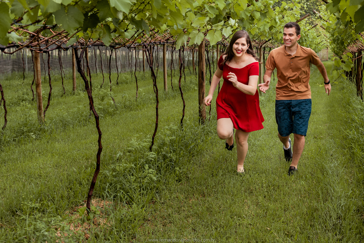 ENSAIO PRÉ-CASAMENTO, PRÉ-WEDDING, VINHOS MICHELETTO, FOTOGRAFIA DE CASAMENTO, ENSAIO AO AR LIVRE, FOTOS DE PRÉ-CASAMENTO, ENSAIO NA VÍNICOLA, ENSAIO PRÉ-CASAMENTO EM LOUVEIRA, LOUVEIRA, SÃO PAULO, PARREIRAS DE UVA