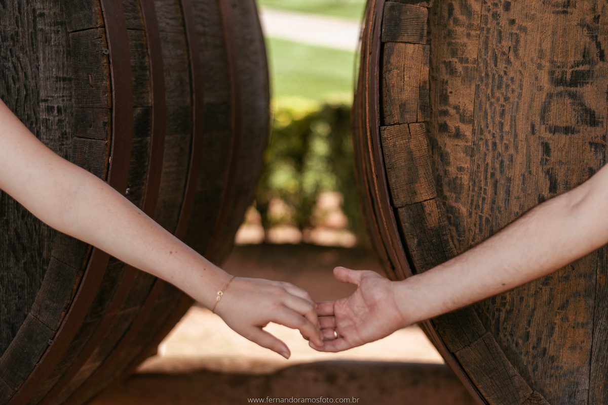 ENSAIO PRÉ-CASAMENTO, PRÉ-WEDDING, VINHOS MICHELETTO, FOTOGRAFIA DE CASAMENTO, ENSAIO AO AR LIVRE, FOTOS DE PRÉ-CASAMENTO, ENSAIO NA VÍNICOLA, ENSAIO PRÉ-CASAMENTO EM LOUVEIRA, LOUVEIRA, SÃO PAULO