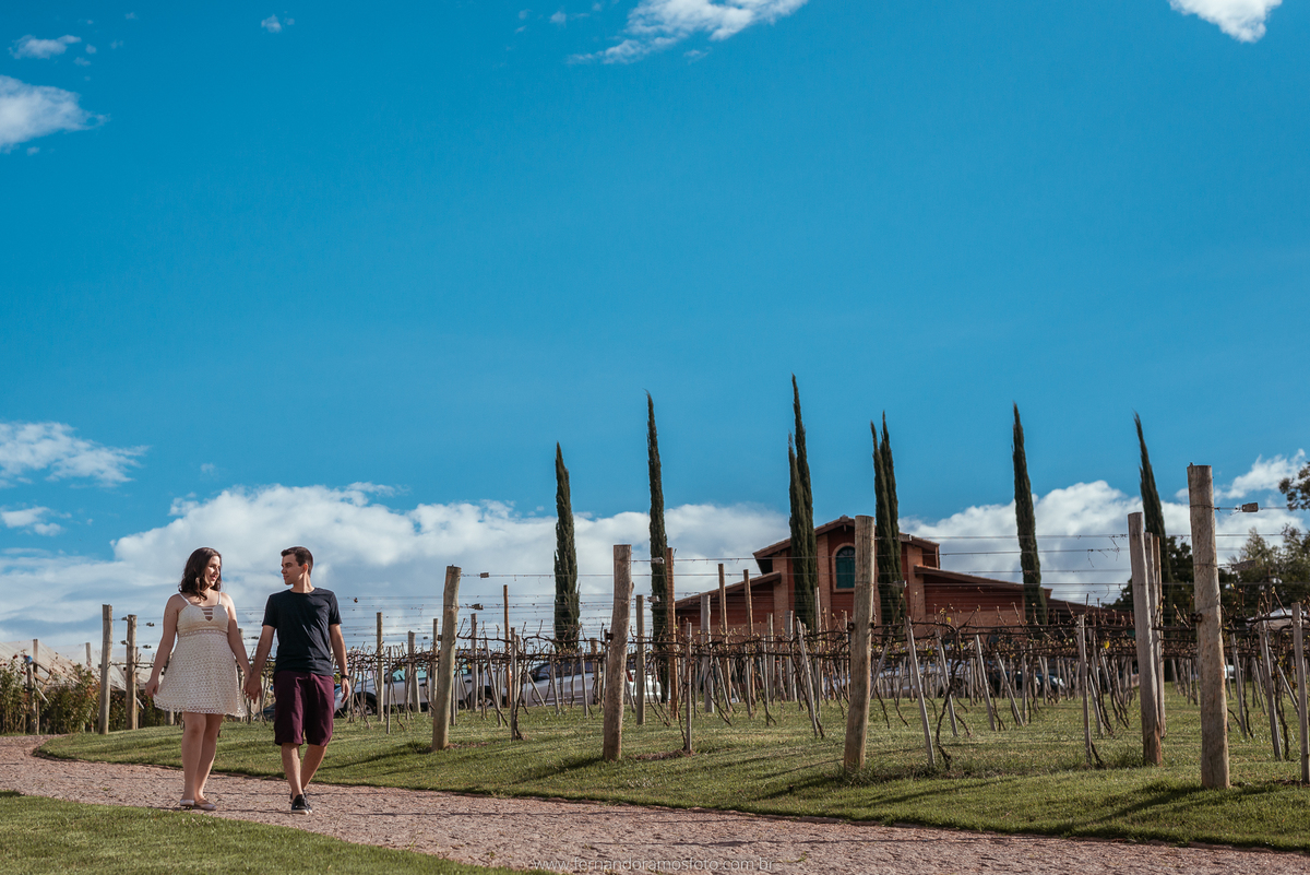 ENSAIO PRÉ-CASAMENTO, PRÉ-WEDDING, VINHOS MICHELETTO, FOTOGRAFIA DE CASAMENTO, ENSAIO AO AR LIVRE, FOTOS DE PRÉ-CASAMENTO, ENSAIO NA VÍNICOLA, ENSAIO PRÉ-CASAMENTO EM LOUVEIRA, LOUVEIRA, SÃO PAULO