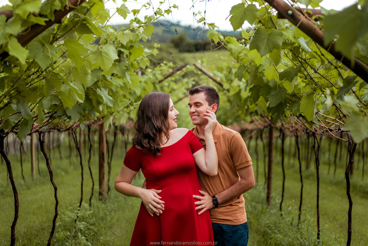 ENSAIO PRÉ-CASAMENTO, PRÉ-WEDDING, VINHOS MICHELETTO, FOTOGRAFIA DE CASAMENTO, ENSAIO AO AR LIVRE, FOTOS DE PRÉ-CASAMENTO, ENSAIO NA VÍNICOLA, ENSAIO PRÉ-CASAMENTO EM LOUVEIRA, LOUVEIRA, SÃO PAULO, PARREIRAS DE UVA