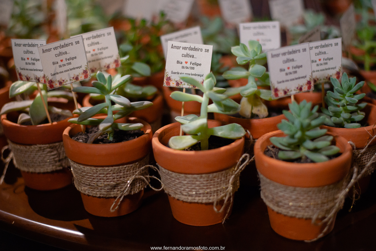 Decoração feita pela Olivia Marta Decorações no espaço Spazio de Cristalli em Itupeva, São Paulo, Lembrancinhas, vasos de suculentas para lembrança de casamento
