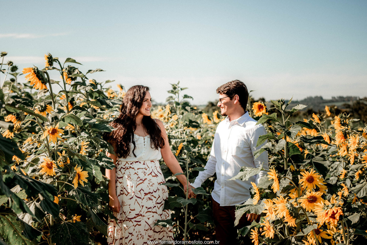 ENSAIO PRÉ-CASAMENTO, HOLAMBRA, THEOS TURISMO, FOTÓGRAFO DE CASAMENTO EM CAMPINAS, PRÉ-WEDDING EM CAMPINAS, FOTO DE ENSAIO PRÉ-CASAMENTO, CASAMENTO, ENSAIO PRÉ-WEDDING EM HOLAMBRA, GIRASSOL, ENSAIO FOTOGRÁFICO AO AR LIVRE, ENSAIO PRÉ-WEDDING NO CAMPO