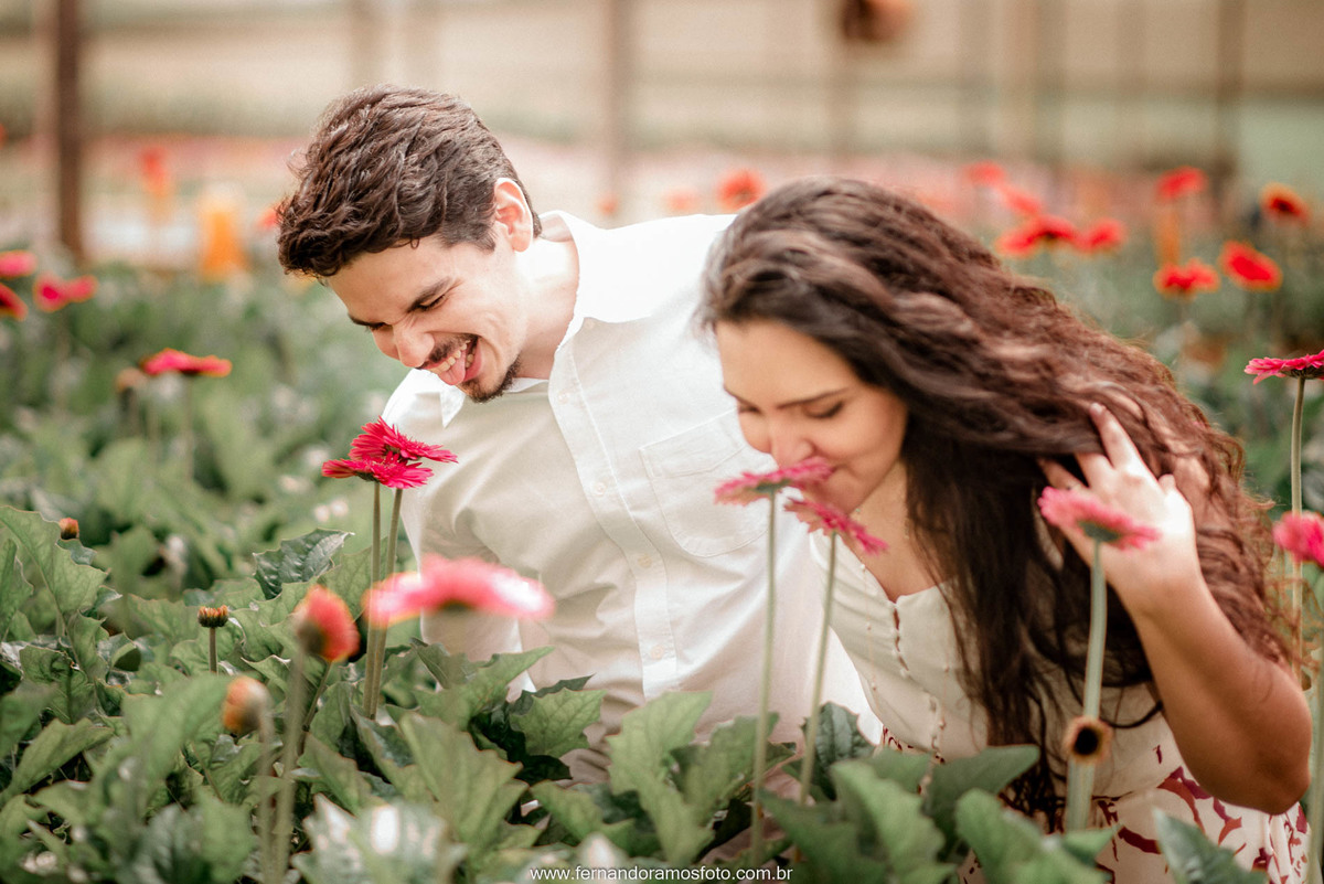 ENSAIO PRÉ-CASAMENTO, HOLAMBRA, THEOS TURISMO, FOTÓGRAFO DE CASAMENTO EM CAMPINAS, PRÉ-WEDDING EM CAMPINAS, FOTO DE ENSAIO PRÉ-CASAMENTO, ENSAIO PRÉ-WEDDING EM HOLAMBRA, ENSAIO FOTOGRÁFICO AO AR LIVRE, ENSAIO PRÉ-WEDDING NO CAMPO, PLANTAÇÃO DE FLORES